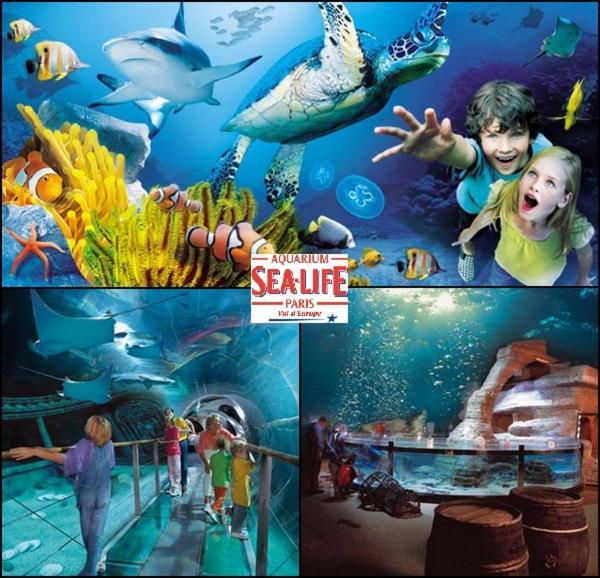 Disneyland Paris 6 Pers- Wifi - Disney Tv Wifi, Parking Chessy  Luaran gambar